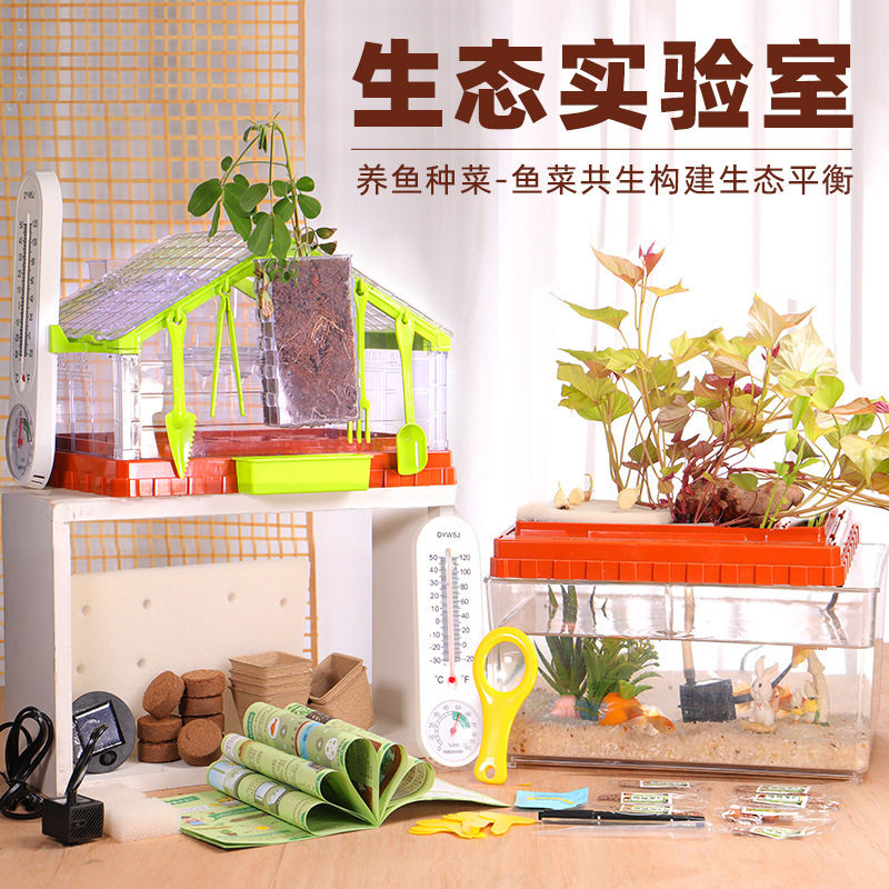 生态科学实验套装鱼菜共生种植儿童小学植物观察园养金鱼玩具diy