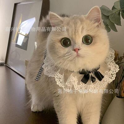 装饰品猫咪围脖领结宠物口水巾