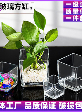 简约水培玻璃花瓶透明方缸水养百合郁金香水仙白掌器皿客厅小花盆