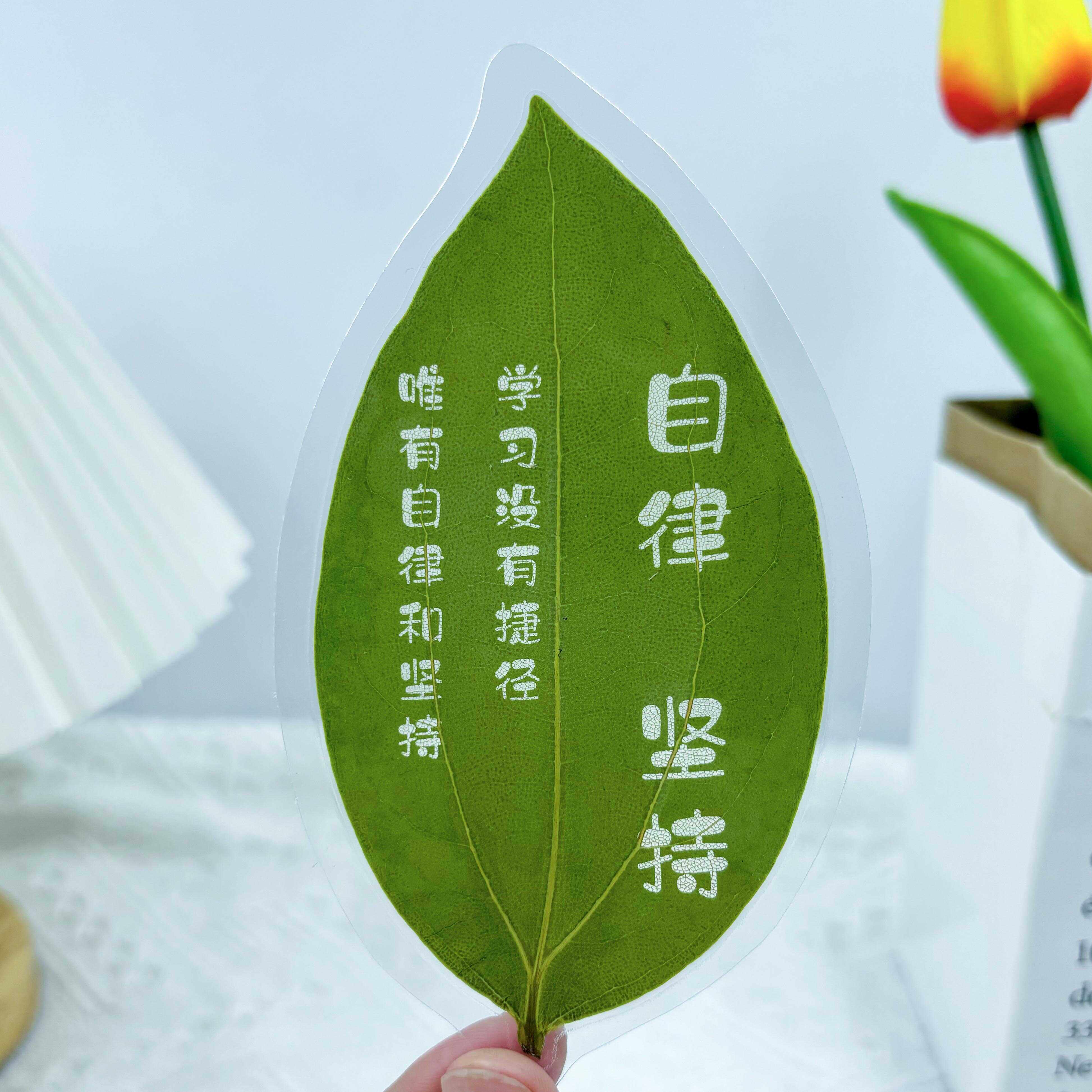 书签定制真树叶刻字精美创意励志书签礼物diy文创礼品送学生老师