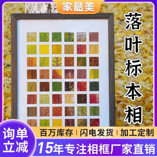 落叶手绘简笔画框24251648宫格