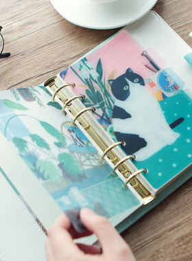 5pack Ins A5 A6 PVC budget sheet间隔页 binder dividers index