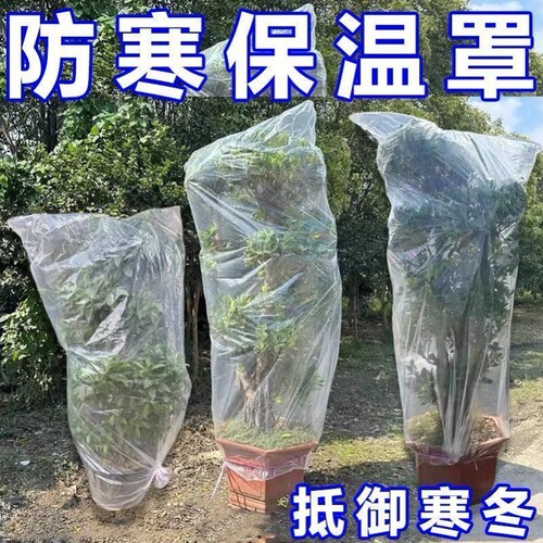 花卉植物树苗园艺盆栽冬季室外防冻透明防寒膜保护罩果树塑料袋子
