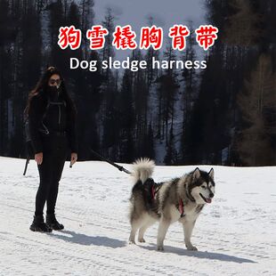 狗狗拉车扭扭车雪橇犬狗拉雪橇背带防爆冲牵引绳坚固耐用