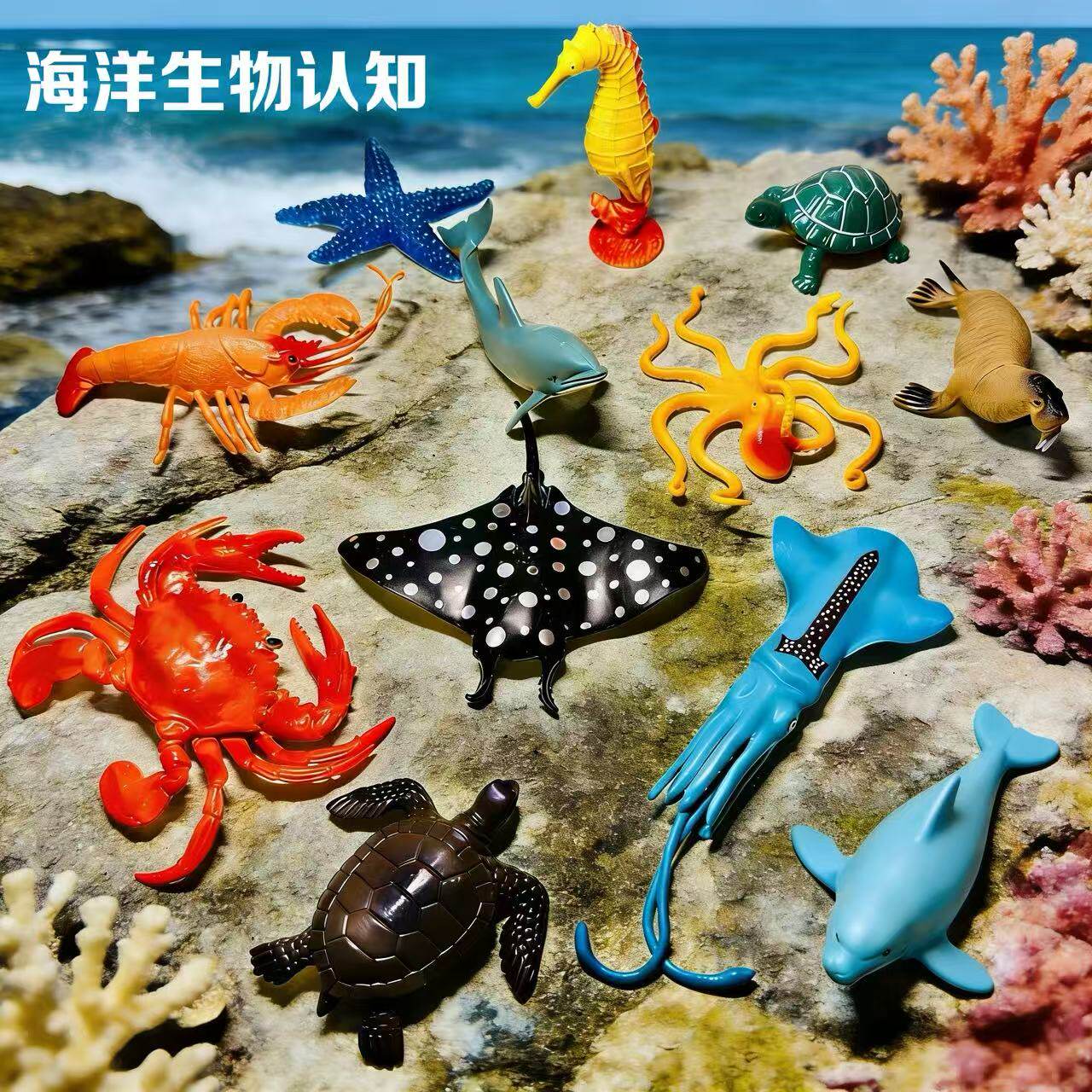 海洋动物仿真玩具软胶海星螃蟹鲨鱼海豚海龟海螺儿童认知模型套装