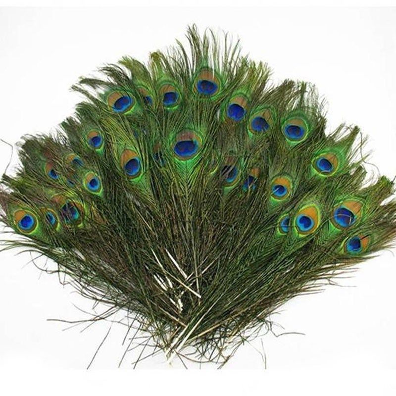 new arrivals 50pcs/pack natural peacock tail feathers about