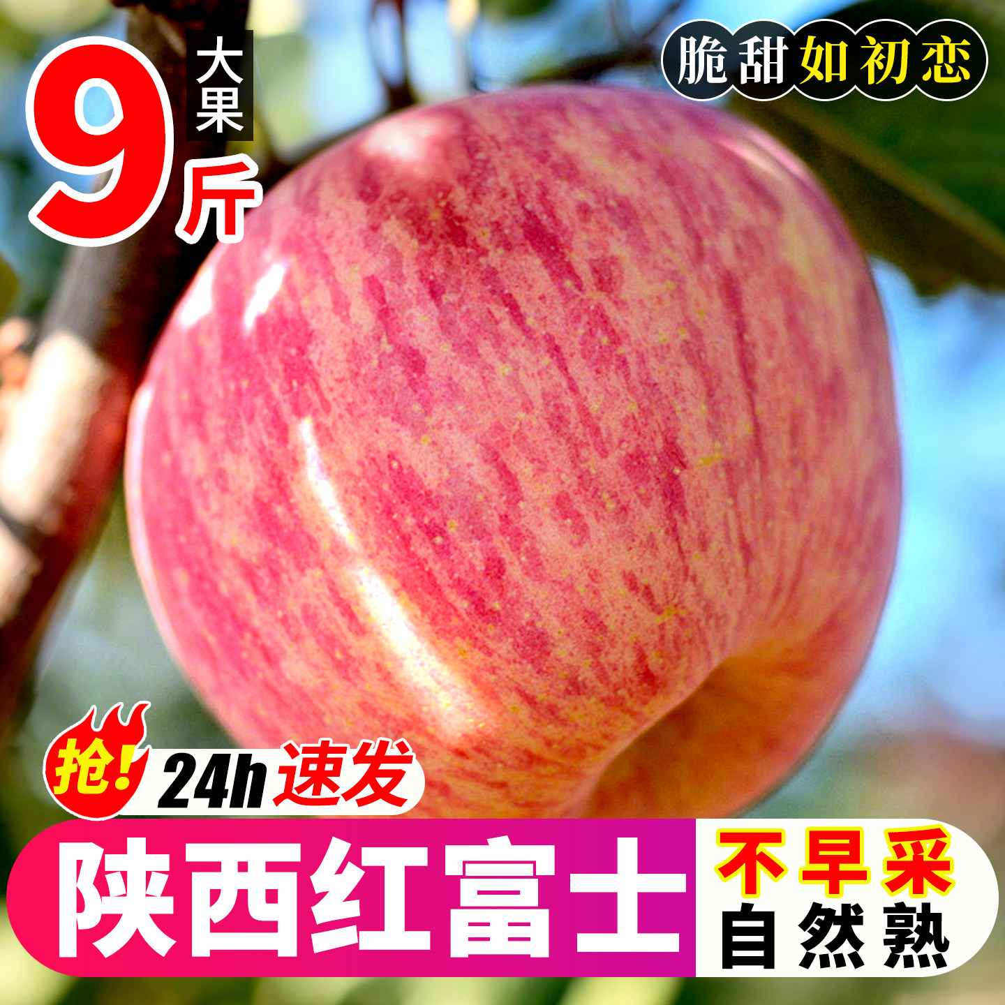 苹果水果新鲜当季丑苹果红富士冰糖心脆甜丑苹果正宗陕西9斤超市,水产肉类/新鲜蔬果/熟食,苹果,淘宝优惠券,粉丝福利购,淘宝优惠卷