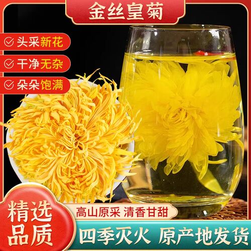 【夏季去火茶】一朵一杯大朵菊花
