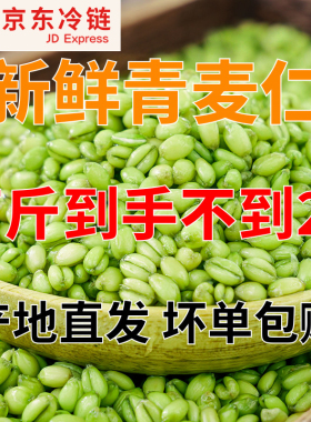 青麦仁新鲜青麦粒米河南正宗麦穗自产麦子青小麦去皮鲜麦仁粥杂粮