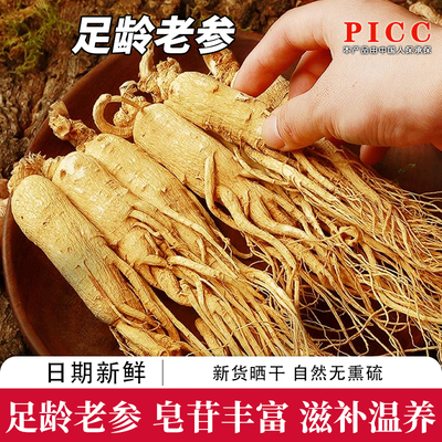 【全须全芦】正宗人参泡酒