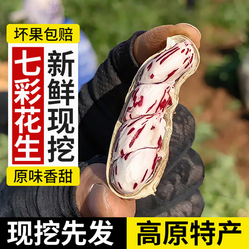 2026现挖新鲜七彩花生湿花生
