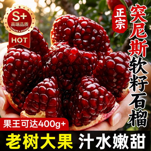 【正宗突尼斯软籽石榴】特大果王