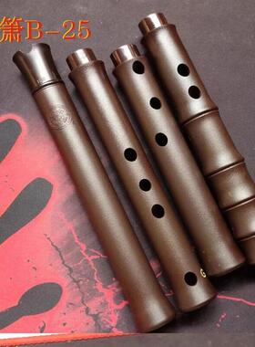 任箫八孔洞箫合成箫可拆便携演奏箫 树脂箫 A调/G调/F调/E调