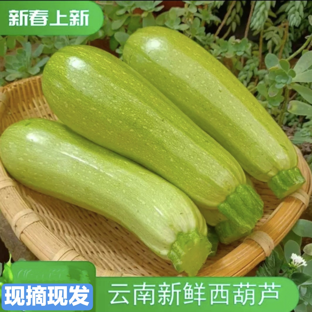 云南农家自种新鲜蔬菜西葫芦小绿瓜三月瓜烧烤用小瓜现摘现发包邮