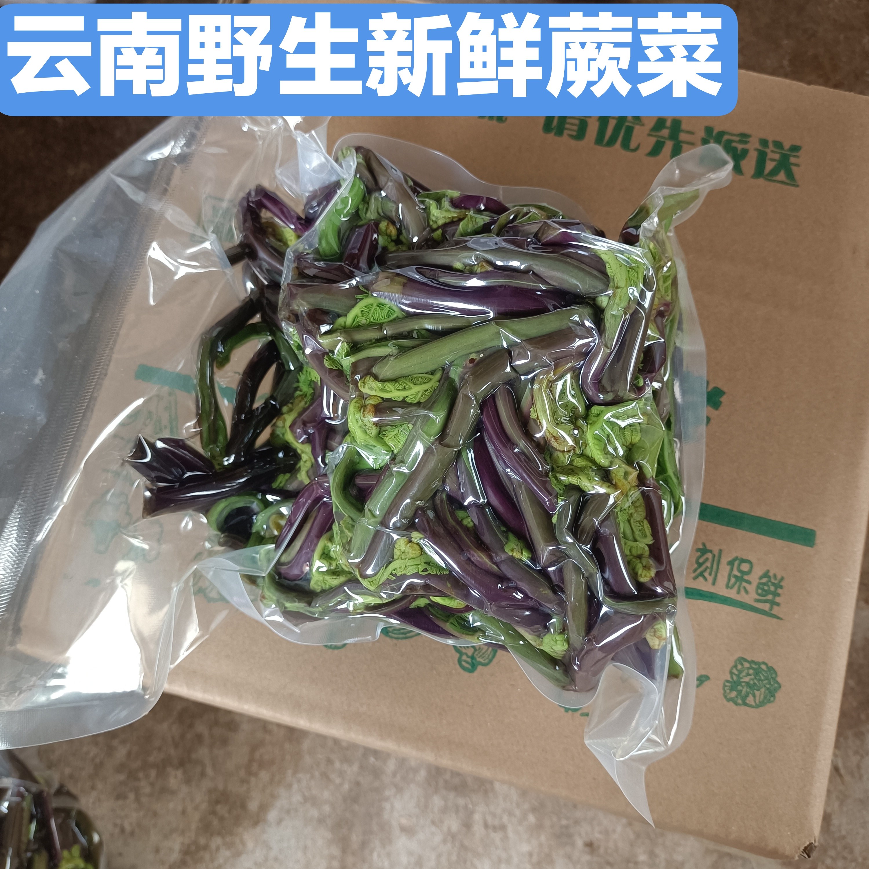 云南省野生蕨菜现摘新鲜菜龙爪菜龙头菜天然绿色蔬菜焯水真空包装
