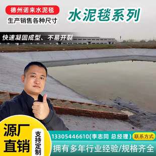 水泥毯新型鱼塘护坡混凝土复合毯布河道基坑支护土帆布毡水泥毯子