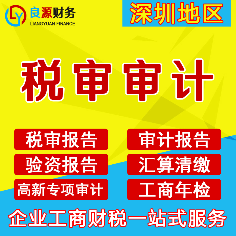 深圳公司税审报告企业所得税汇算清缴高新专项研发费用台账验资