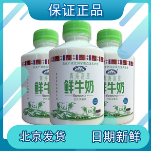 青海湖青海高原鲜牛奶500ml巴氏杀菌鲜奶儿童营养低温早餐奶包邮
