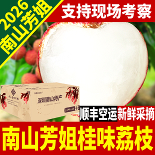 深圳南山芳姐桂味荔枝新鲜水果农家3/5/8/10斤礼盒顺丰空运包邮