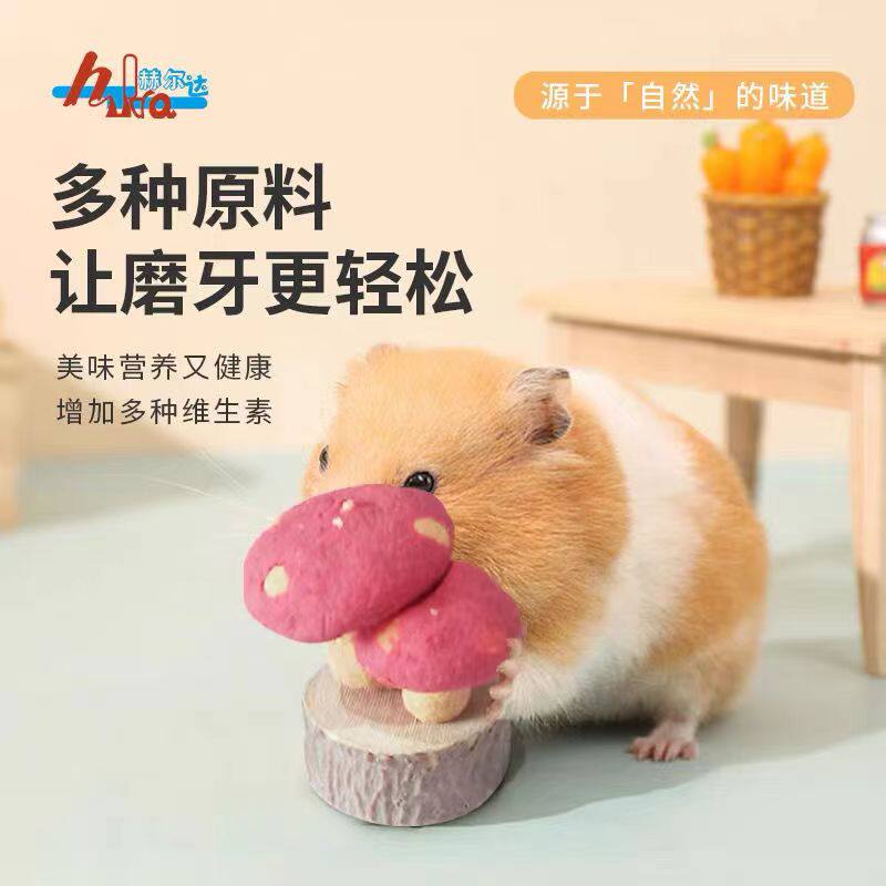 仓鼠造景小蘑菇赫尔达可玩耍
