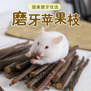 苹果枝磨牙棒宠物磨牙咬木仓鼠荷兰猪龙猫豚鼠兔子磨牙用品