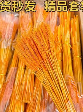 精品大麦天然黄金麦穗干花花束开业花篮客厅装饰摆件拍摄道具