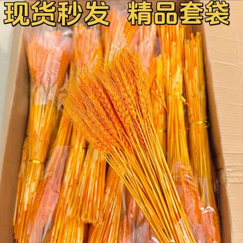 精品大麦天然黄金麦穗干花花束开业花篮客厅装饰摆件拍摄道具