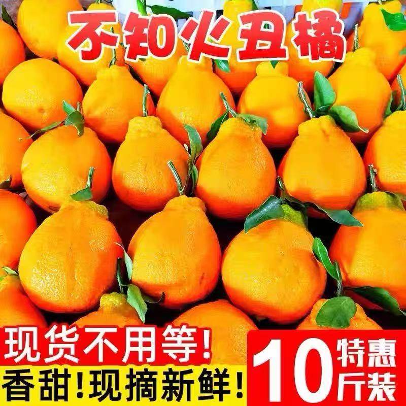 四川丑橘丑八怪10斤当季新鲜水果橘子薄皮耙耙粑粑丑柑橘整箱桔子
