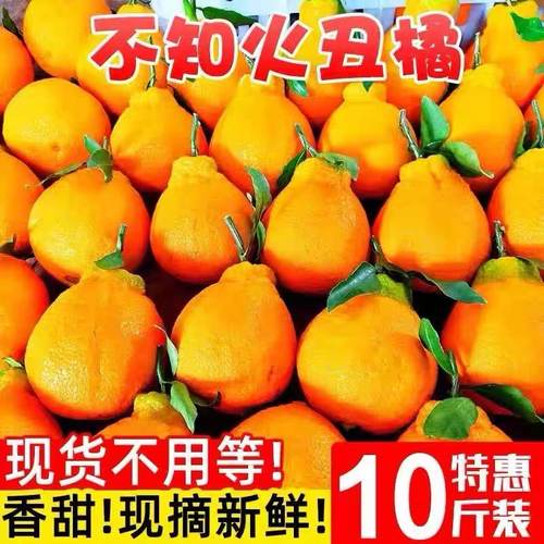 四川丑橘丑八怪耙粑粑