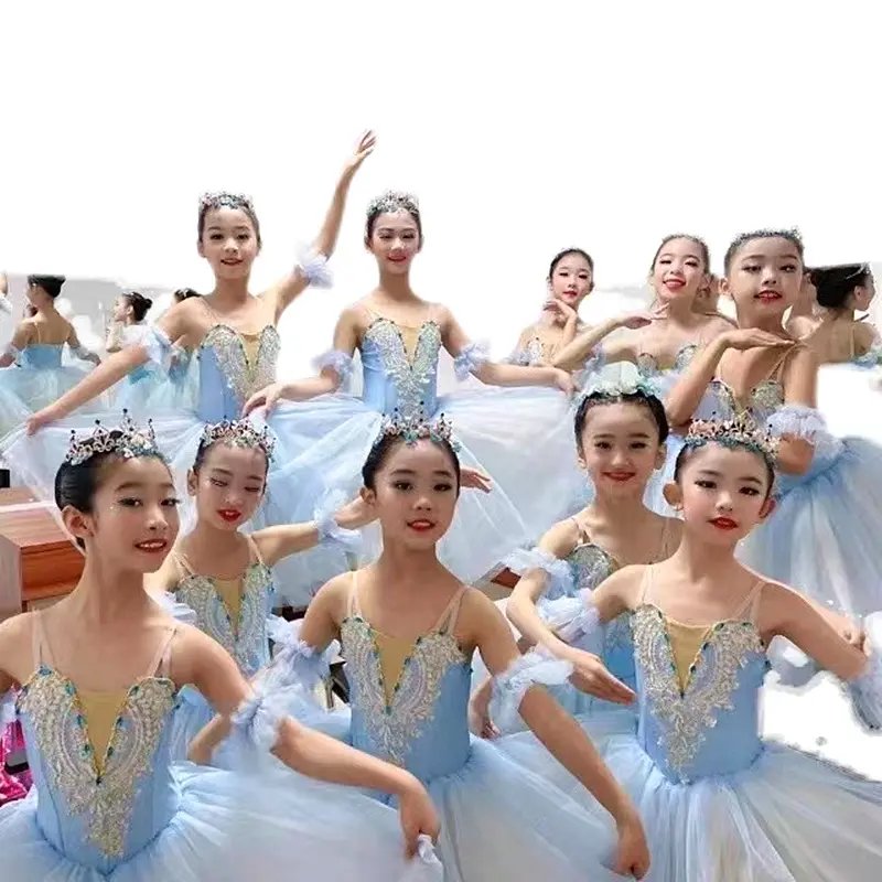 现货儿童芭蕾舞裙新款软纱裙蓬蓬裙女童芭蕾舞蹈服学生演出服