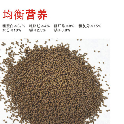 锦鲤鱼饲料鱼食鱼粮鱼饲料500g金鱼观赏鱼散装颗粒鱼饵小粒