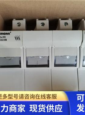CH223B美国BUSSMANN熔断器座22x58mm保险丝CH轨道式底座690V 125A