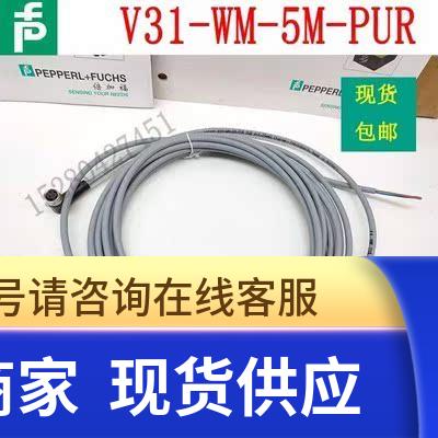 原装德国传感器ENA36IL-R06DA5-1213B16-RC1 正品编码器