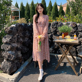 【现货】碎花仙女连衣裙301A-8812-P115-K168，女装连衣裙，2C301
