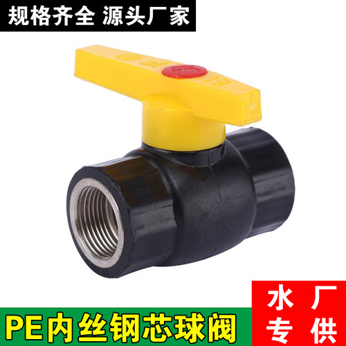 PE内丝钢芯球阀4分pe阀门开关20 25内螺纹阀双内牙丝6分1寸pe管件