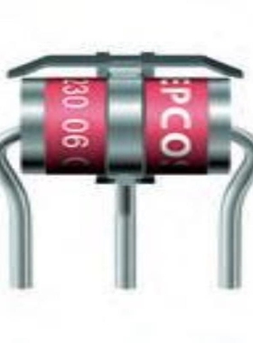 B88069X9410B502 B88069X4420B152 B88069X1630T602