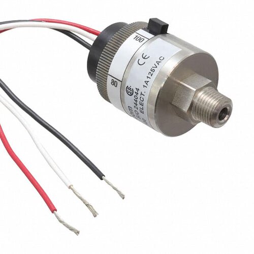 P117G-10H-C12L-DIS  Whitman Controls, LLC