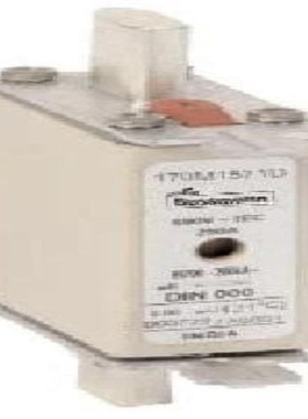 170M3818D 170M3069 170M3171