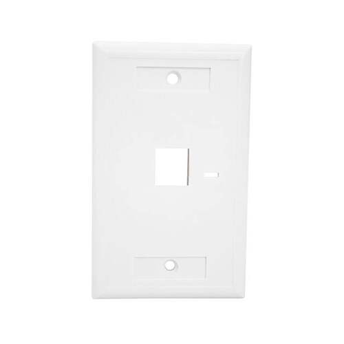 NFP-2018 连接器 《 KEYSTONE WALL PLATE W/ ICON SLOT    》