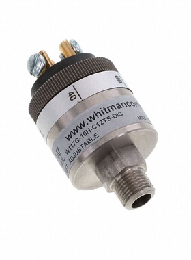 W117G-10H-C12TS-DIS  Whitman Controls, LLC