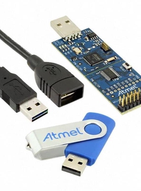 AT97SC3205T-U3A1C-10/AT97SC3204T-U2MB-10