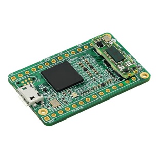 DEMOBGT60LTR11AIPTOBO1 射频 《 BGT60LTR11AIP DEV KIT    》