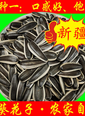 新疆生瓜子葵花子新货大颗粒籽饱满级鲜向日散装北屯特产农家自种