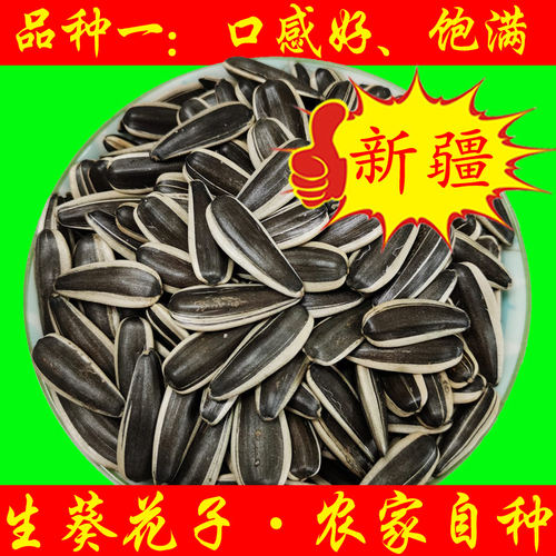 新疆生瓜子葵花子新货大颗粒籽饱满级鲜向日散装北屯特产农家自种 - 封面