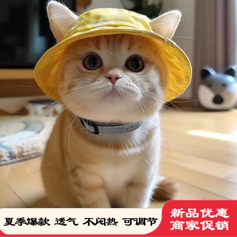 猫狗夏季防晒可爱露耳渔夫帽