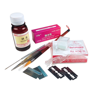 沪教临时装片制作工具套装初中生物实验器材教学仪器碘液吸水纸载玻片盖玻片单面刀片解剖针镊子毛笔玉米菜豆