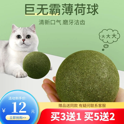 猫玩具超大猫薄荷球自嗨解闷神器猫猫小猫逗猫棒宠物猫咪用品磨牙