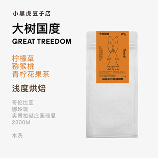 Black C 小黑虎 Guadi的大树国度 哥伦比亚奥博拉赫庄园水洗瑰夏