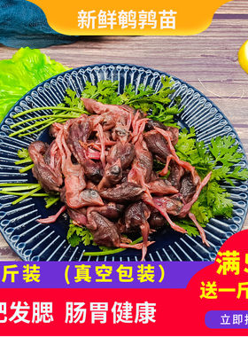 新鲜小鹌鹑苗活冷冻鹌鹑幼仔肉幼苗生鹌鹑生肉宠物零食生鲜一斤