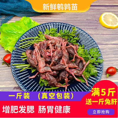 新鲜小鹌鹑苗活冷冻鹌鹑幼仔肉幼苗生鹌鹑生肉宠物零食生鲜一斤